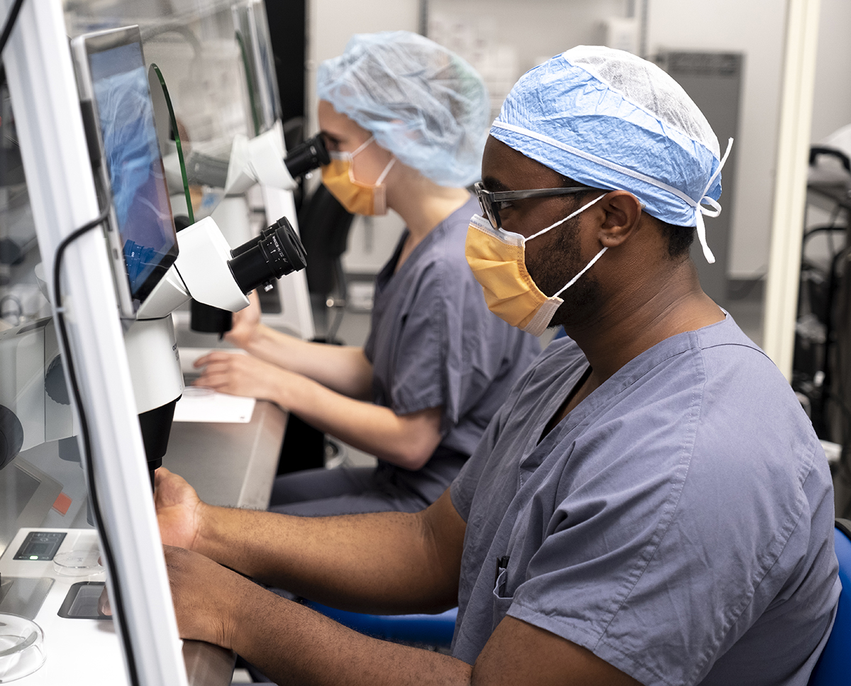 Our IVF Embryology Laboratory RMA of New York Long Island