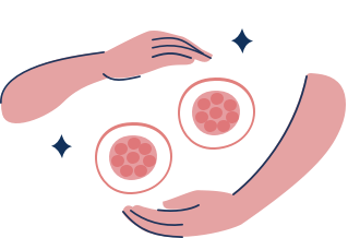 Egg Donor Conception